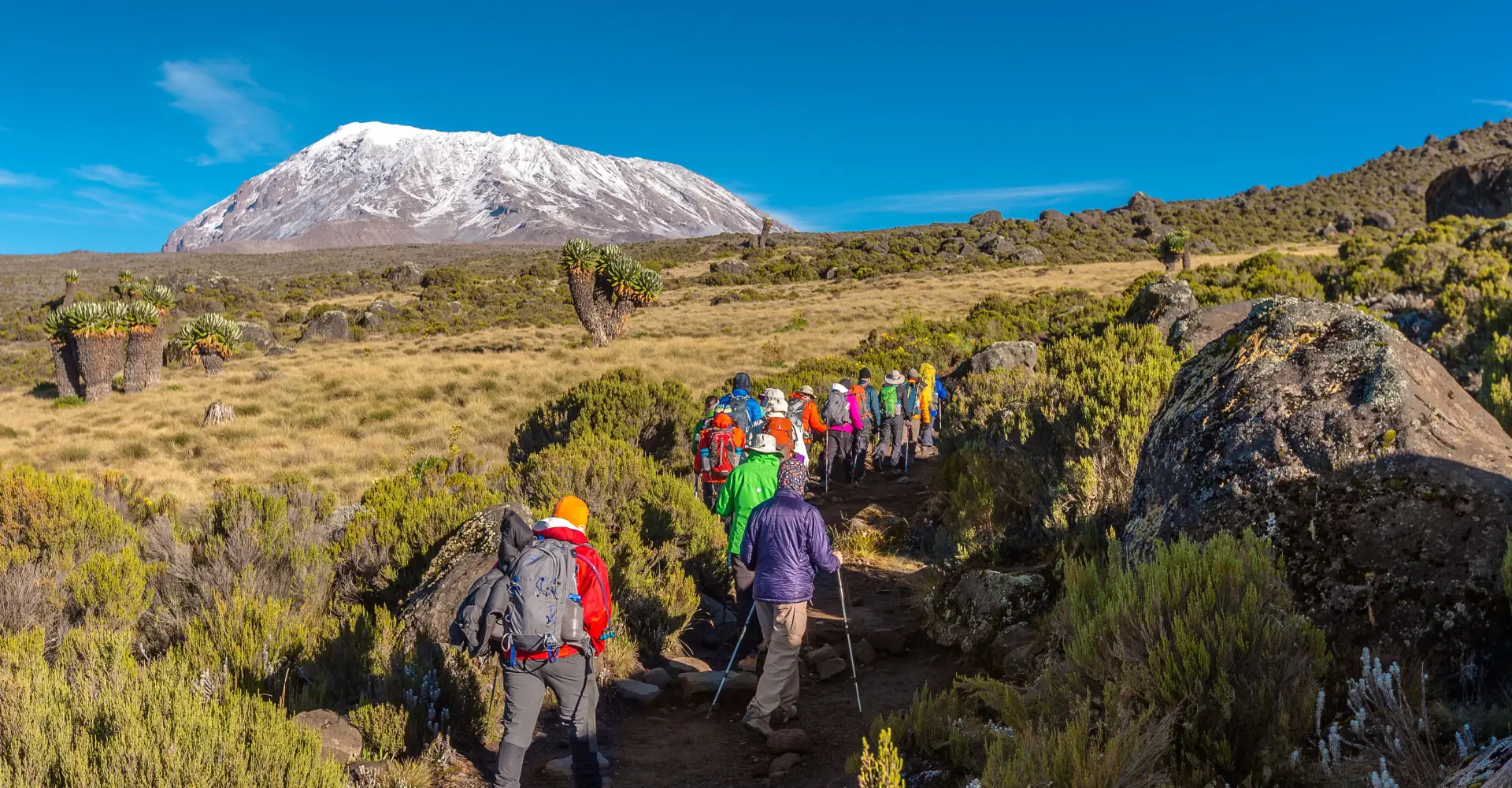 kilimanjaro-trails-banner