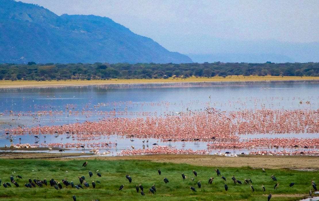 lake-manyara-1-1110×700